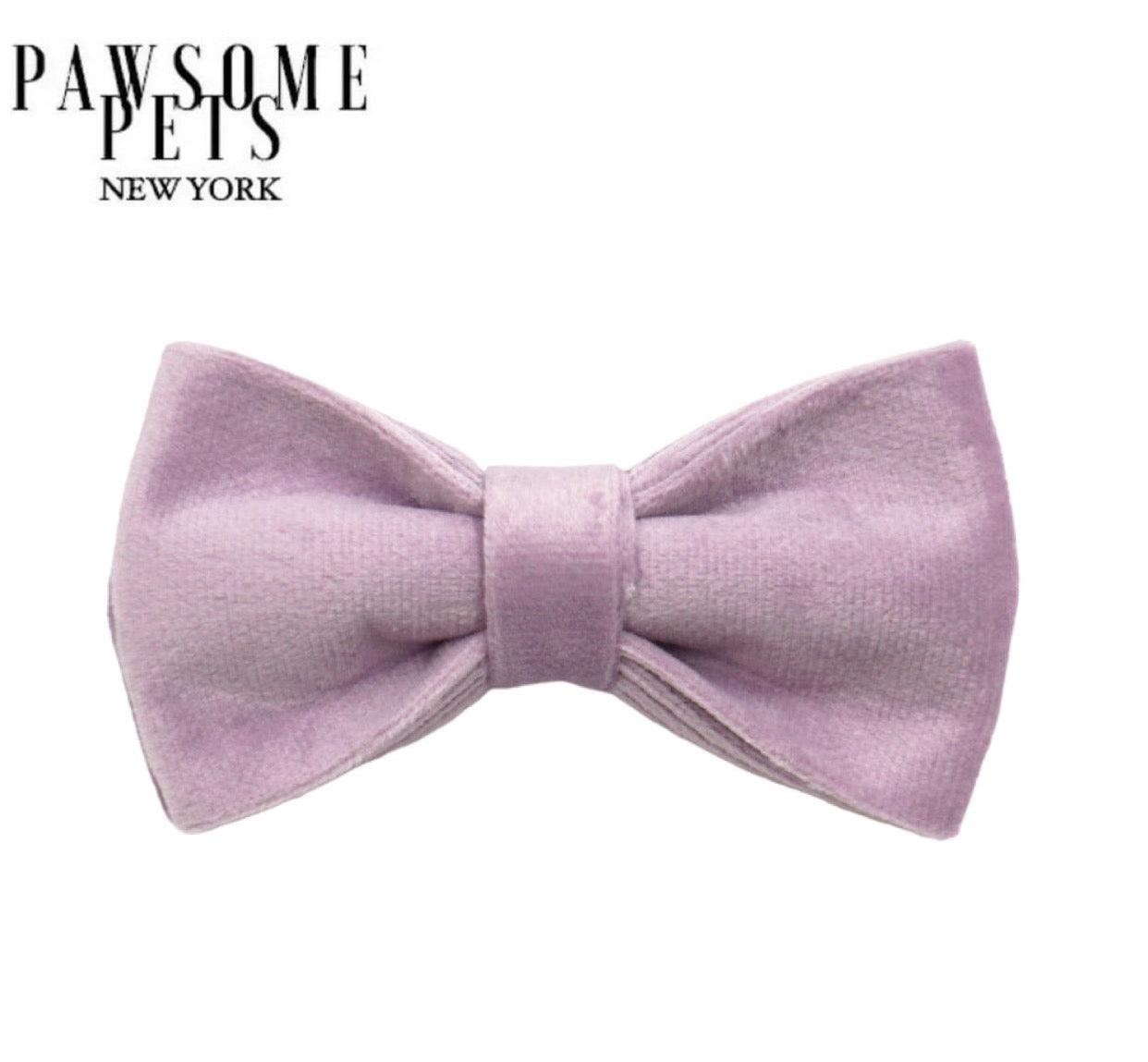 BOWTIE - LIGHT PURPLE